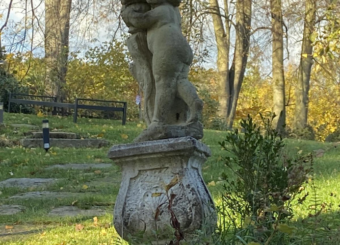 Impressionen im Garten